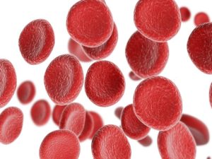 Eisen in der Schwangerschaft für rote Blutkörperchen 