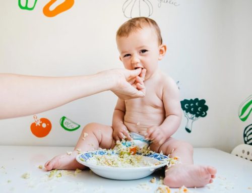 Vegane Beikost Kritik – So konterst Du souverän mit Fakten
